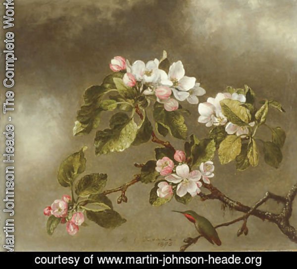 Hummingbird and Apple Blossoms