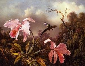 Martin Johnson Heade - Orchids and Hummingbird 2