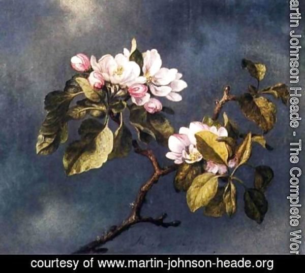 Martin Johnson Heade - Apple Blossoms 2