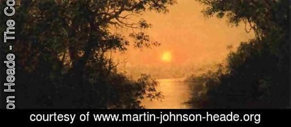 Martin Johnson Heade - Sunset (also known as Jungle Scene)