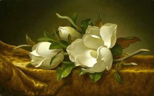 Magnolias on Gold Velvet Cloth 1888