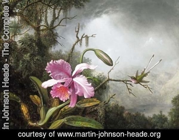 Martin Johnson Heade - Orchid and Hummingbird, After a Storm