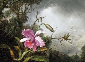 Martin Johnson Heade - Orchid and Hummingbird, After a Storm