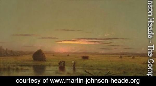 Martin Johnson Heade - Cattle In The Marsh, Near A Fence