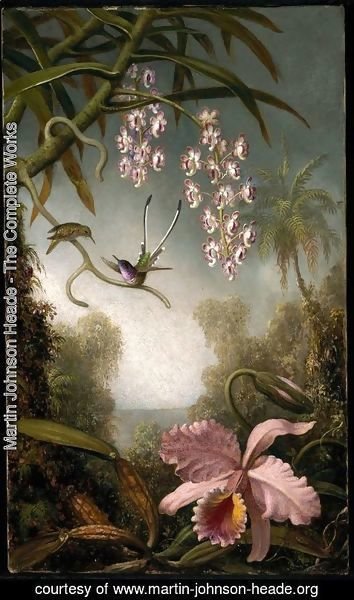 Martin Johnson Heade - Orchids and Spray Orchids with Hummingbird