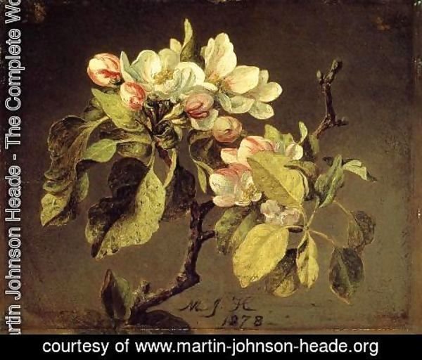 Martin Johnson Heade - A Branch Of Apple Blossoms And Buds
