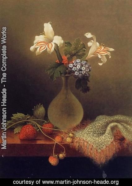 Martin Johnson Heade - A Vase Of Corn Lilies And Heliotrope