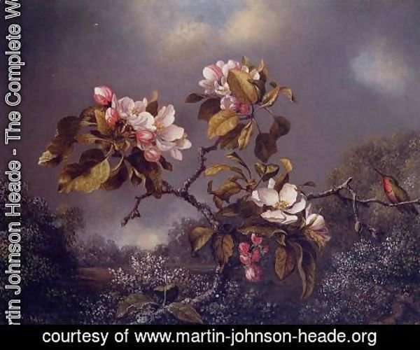 Martin Johnson Heade - Apple Blossoms And Hummingbird
