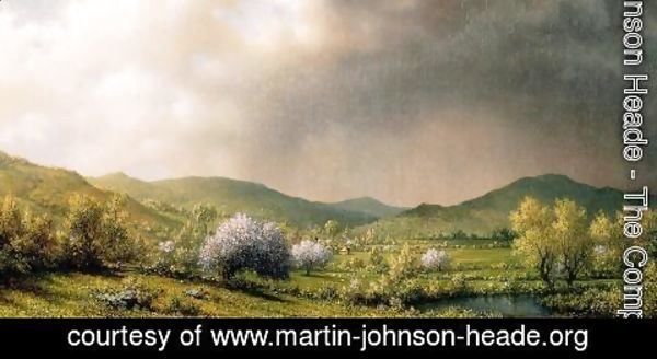 Martin Johnson Heade - April Showers