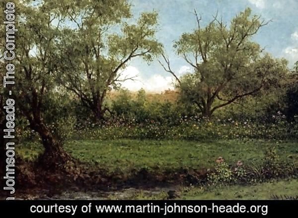 Martin Johnson Heade - Asters In A Field Aka Brookside