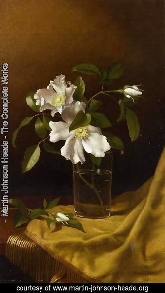 Martin Johnson Heade - Cherokee Roses In A Glass On Gold Velvet Plush