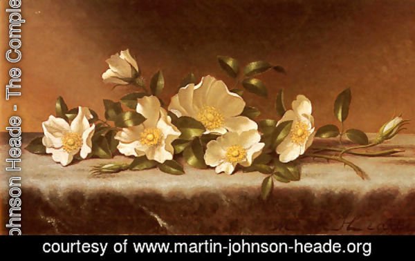 Martin Johnson Heade - Cherokee Roses On A Light Gray Cloth