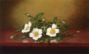 Martin Johnson Heade - Cherokee Roses On A Shiney Table