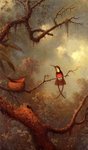 Martin Johnson Heade - Cromson Topaz Hummingbirds Nesting In A Tropical Forest