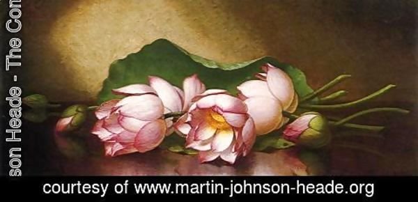Martin Johnson Heade - Egyptian Lotus Blossom