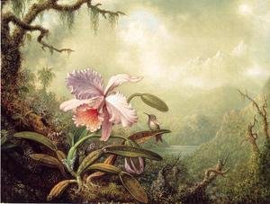 Martin Johnson Heade - Heliodores Woodstar And A Pink Orchid