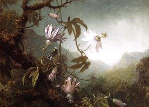 Martin Johnson Heade - Hummingbird Perched Near Passion Flowers
