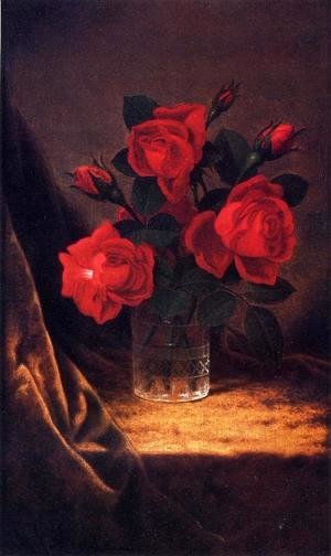 Jaqueminot Roses 2