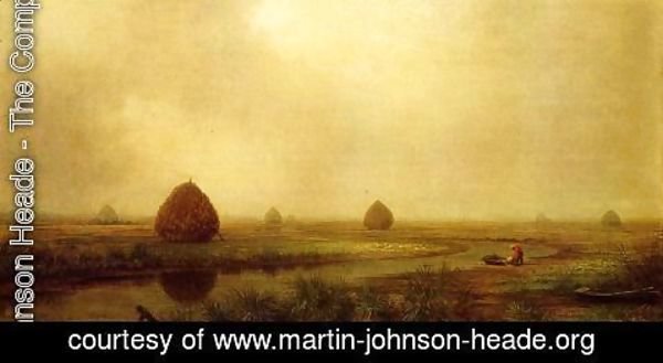 Martin Johnson Heade - Jersey Marshes