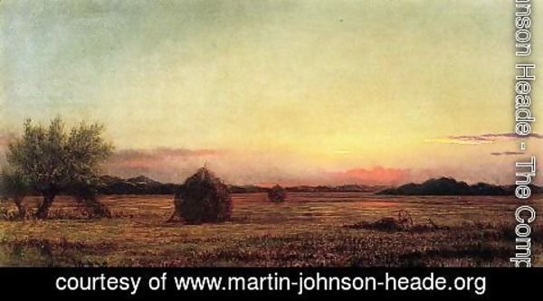 Martin Johnson Heade - Jersey Meadows With Ruins Of A Haycart
