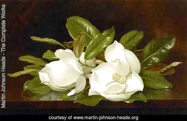 Magnolias On A Wooden Table
