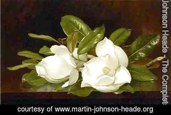 Martin Johnson Heade - Magnolias On A Wooden Table