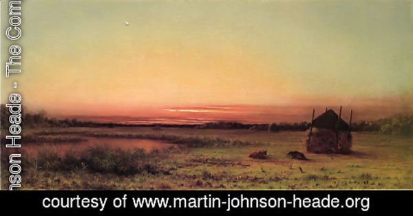 Martin Johnson Heade - Marsh Scene Two Cattle In A Field