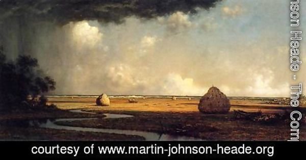 Martin Johnson Heade - Marshfield Meadows  Massachusetts