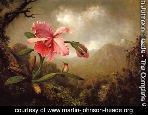 Martin Johnson Heade - Orchid And Hummingbird Near A Mountain Waterfall