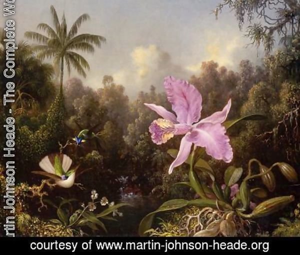 Martin Johnson Heade - Orchid And Two Hummingburds