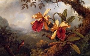 Orchids And Hummingbird3