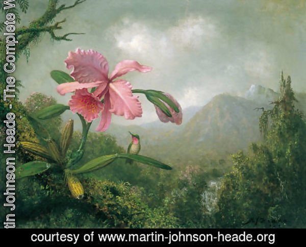 Martin Johnson Heade - Orchids And Hummingbirds4
