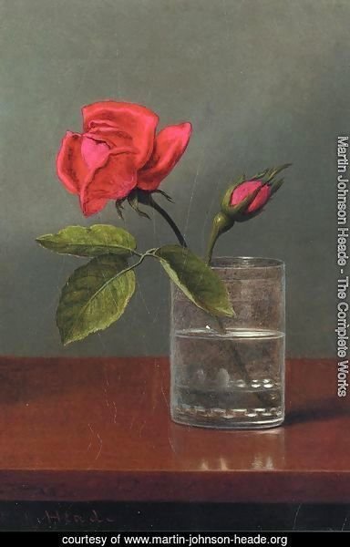 Red Rose And Bud In A Tumbler On A Shiny Table