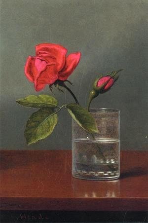 Martin Johnson Heade - Red Rose And Bud In A Tumbler On A Shiny Table