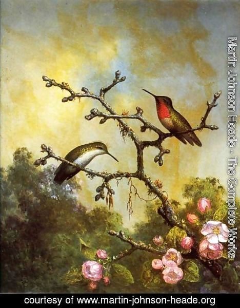 Martin Johnson Heade - Ruby Throated Hummingbirds With Apple Blossoms