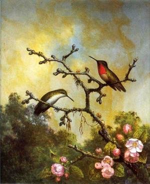 Martin Johnson Heade - Ruby Throated Hummingbirds With Apple Blossoms
