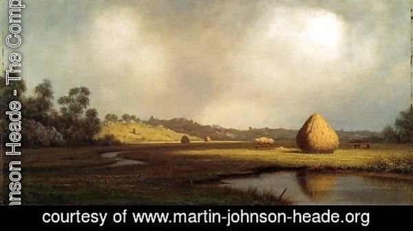 Martin Johnson Heade - Salt Marshes  Newburyport  Massachusetts