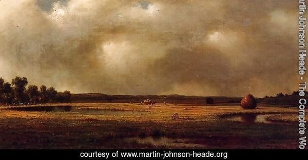 Storm Over The Marshes