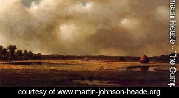 Martin Johnson Heade - Storm Over The Marshes