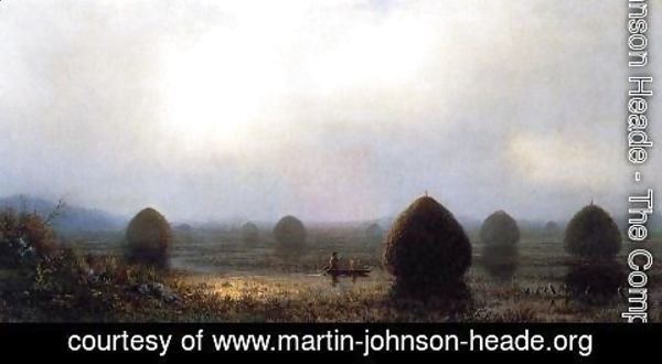 Martin Johnson Heade - The Great Swamp