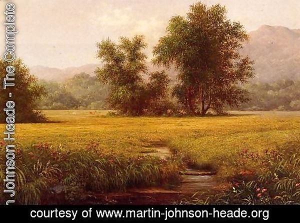 Martin Johnson Heade - The Meadow