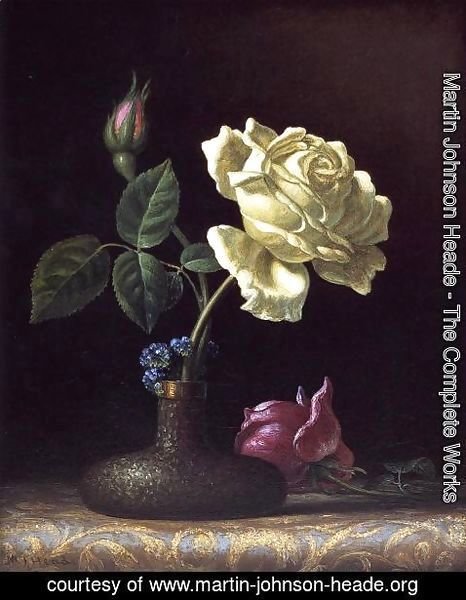 Martin Johnson Heade - The White Rose