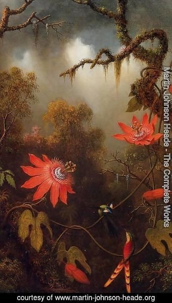 Martin Johnson Heade - Two Hummingbirds Perched On Passion Flower Vines