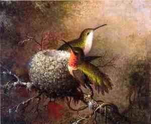 Martin Johnson Heade - Two Ruby Throats By Their Nest