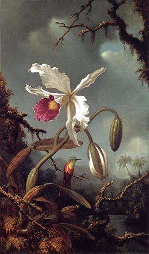 Martin Johnson Heade - White Brazilian Orchid