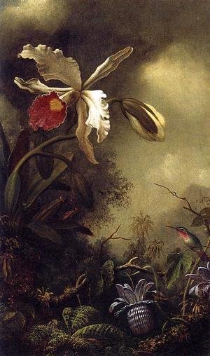 Martin Johnson Heade - White Orchid And Hummingbird