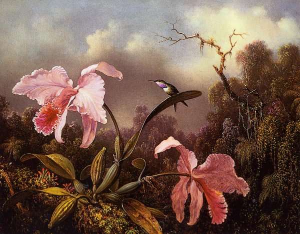 Orchids and Hummingbird 2 by Martin Johnson Heade