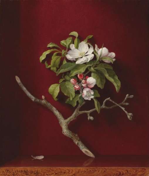 Apple Blossoms in a Corner by Martin Johnson Heade
