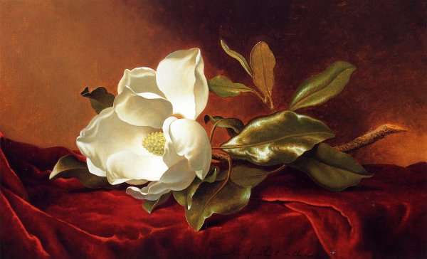 Portrait of Martin Johnson Heade