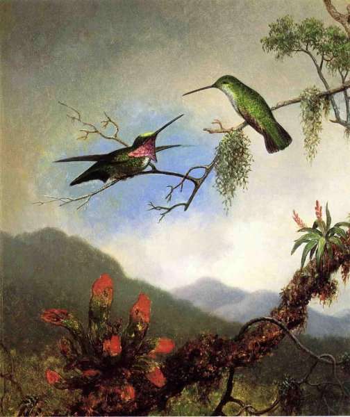 Amethyst Hummingbirds And Red Flowers by Martin Johnson Heade